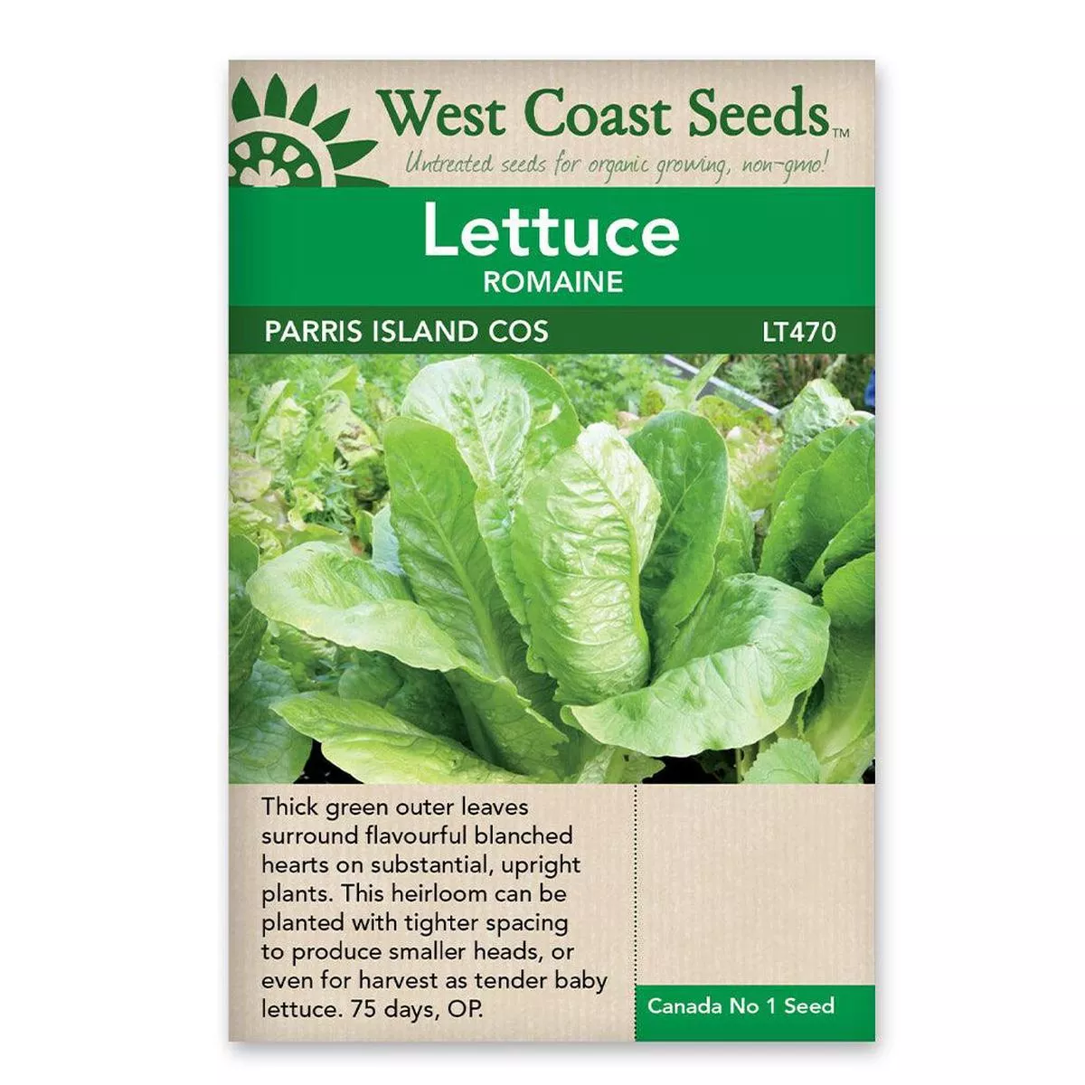 Lettuce Parris Island Seeds