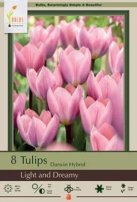 Light and Dreamy Tulip Bulbs 7/Pack