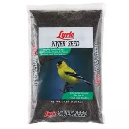 Lyric Nyjer Seed 3lb