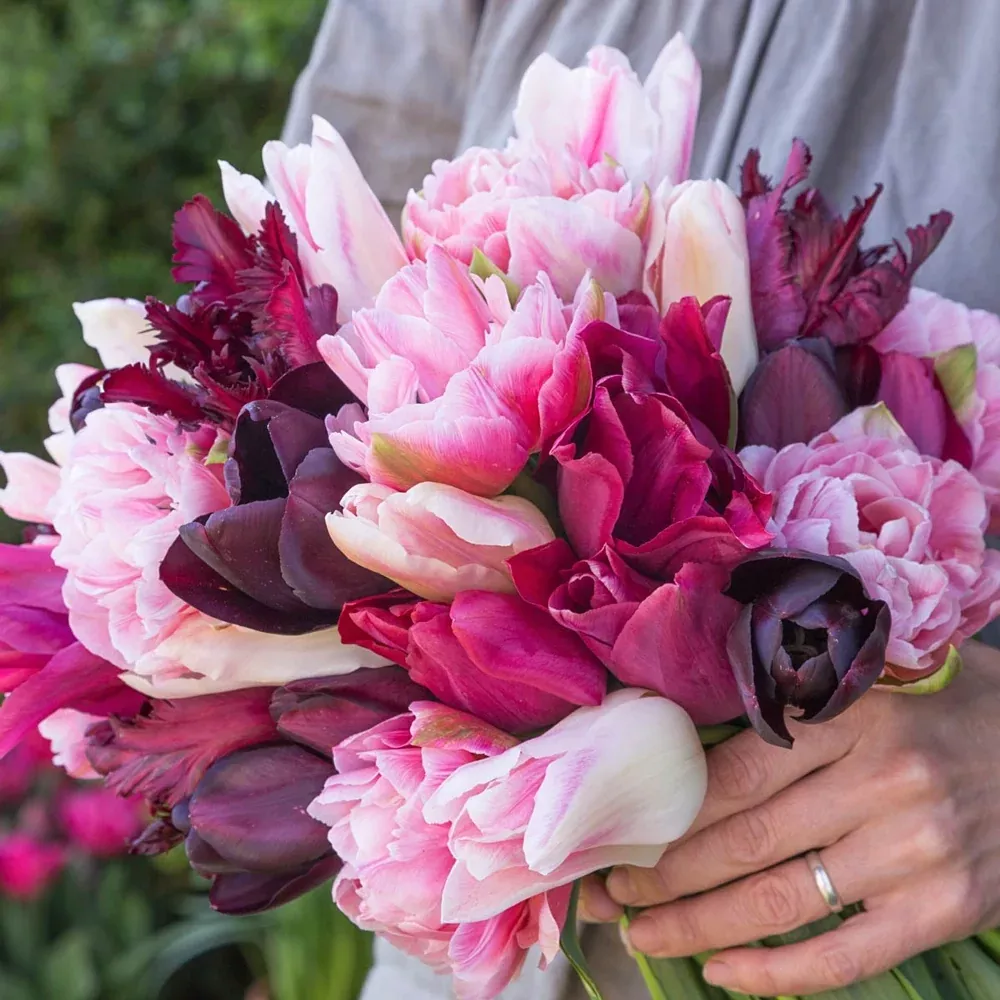Malbec Tulip Blend