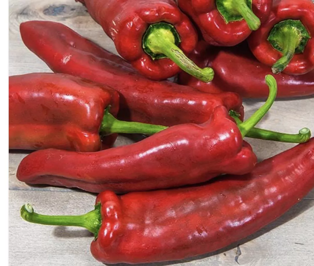 Marconi Red Pepper Seeds