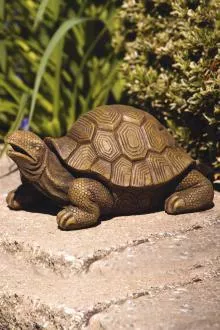 Massarelli's - 10" Garden Turtle 2346