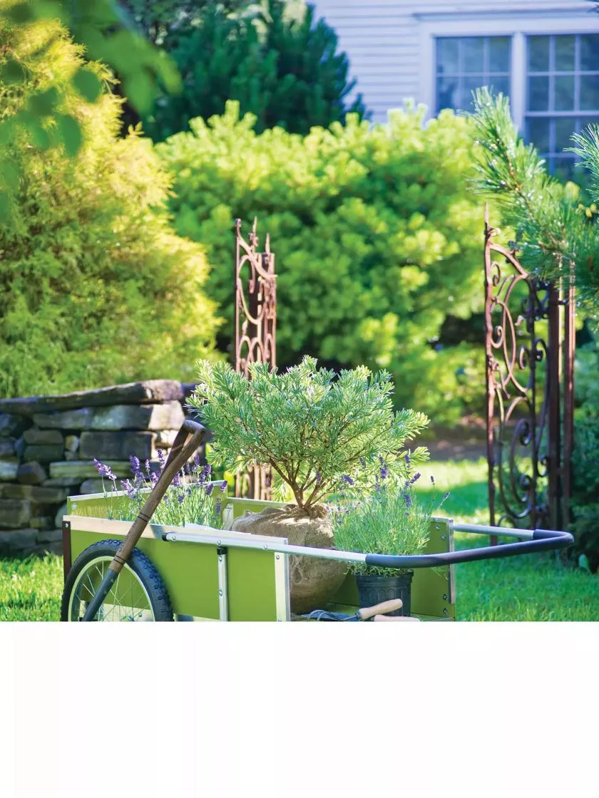 Medium Gardener’s Supply Cart