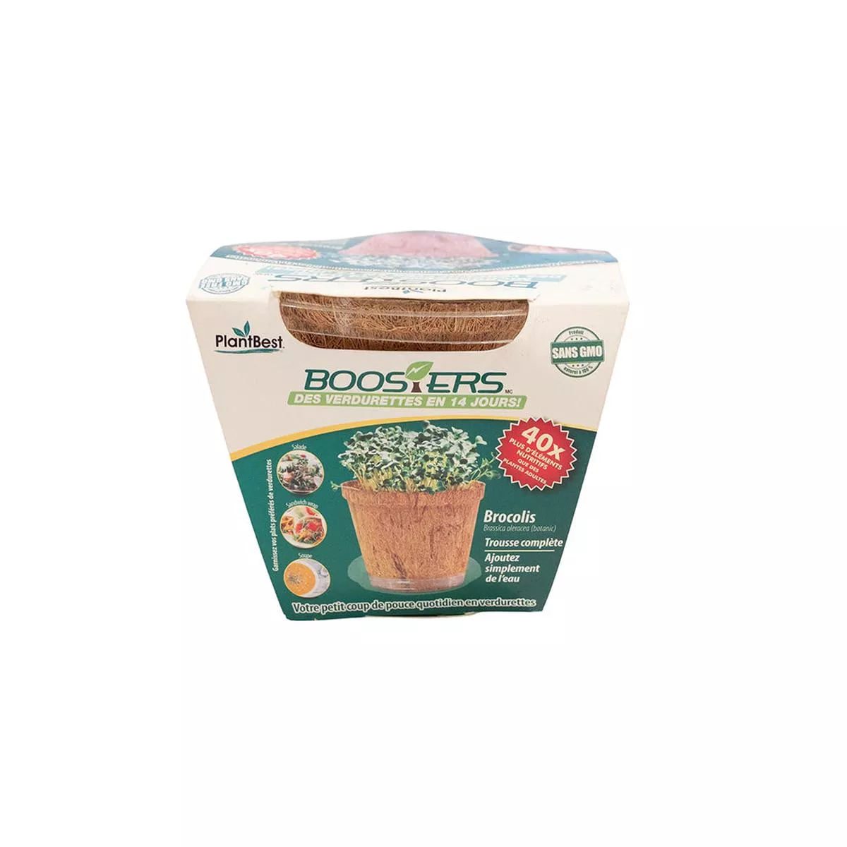 MicroGreen Booster Broccoli Kit