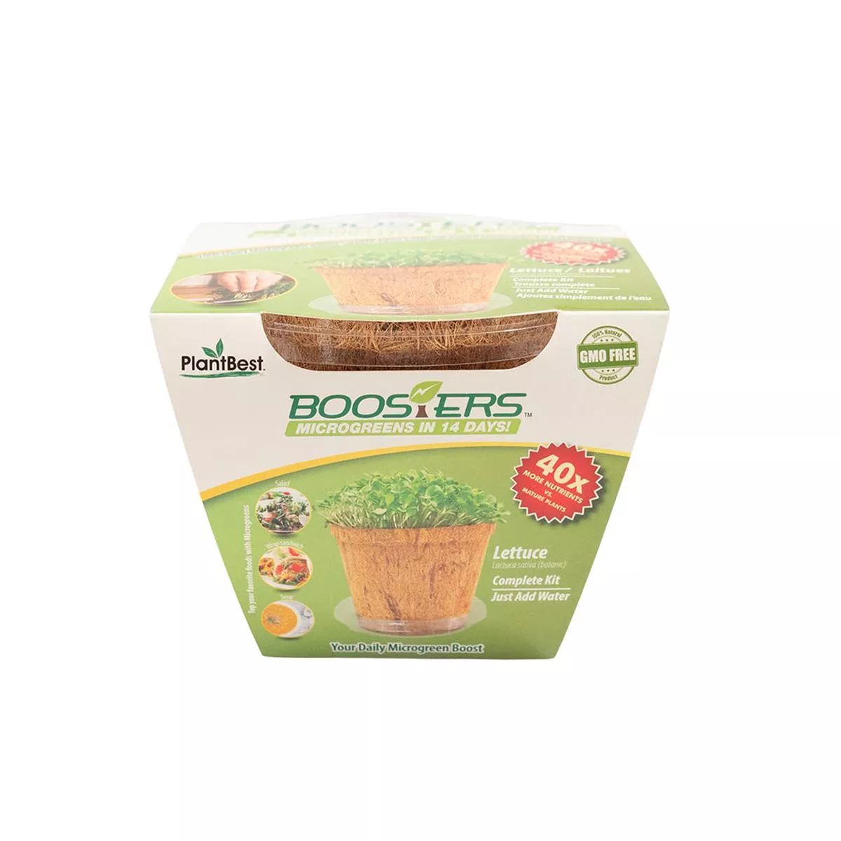 MicroGreen Booster Lettuce Kit