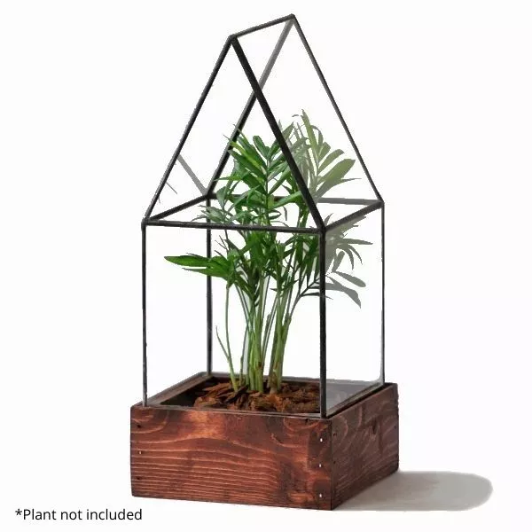 A Modern Terrarium for Your Modern Home