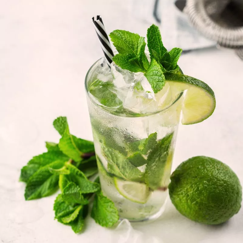 Mojito Certified Organic Mint