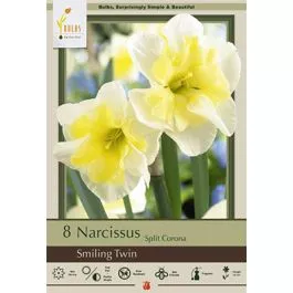 Naricissus Smiling Twin 8PK