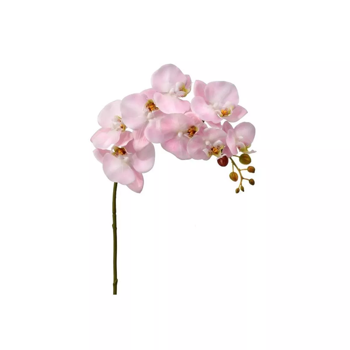Natural Touch Orchid 34 ” Pink Everlasting