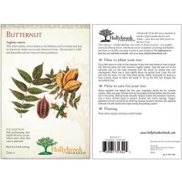 Nut Butternut