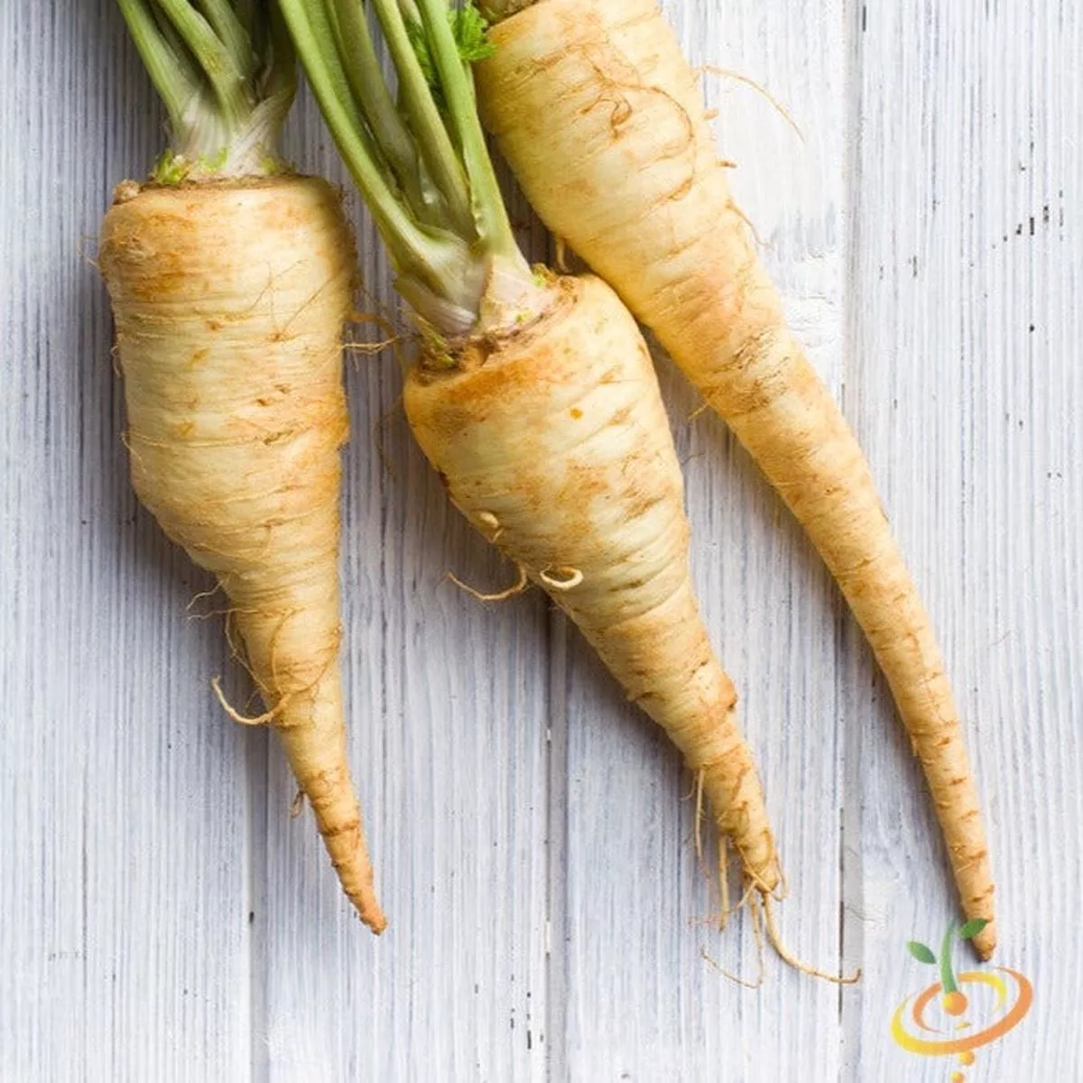 Parsnip – Harris Model seeds