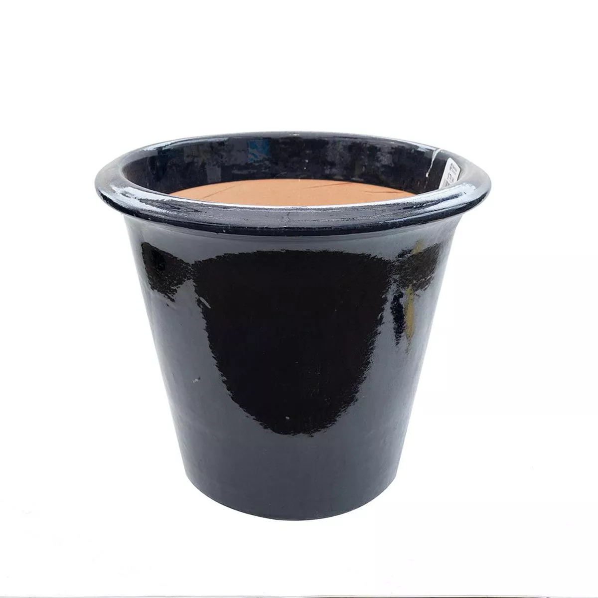 Patricia Pot