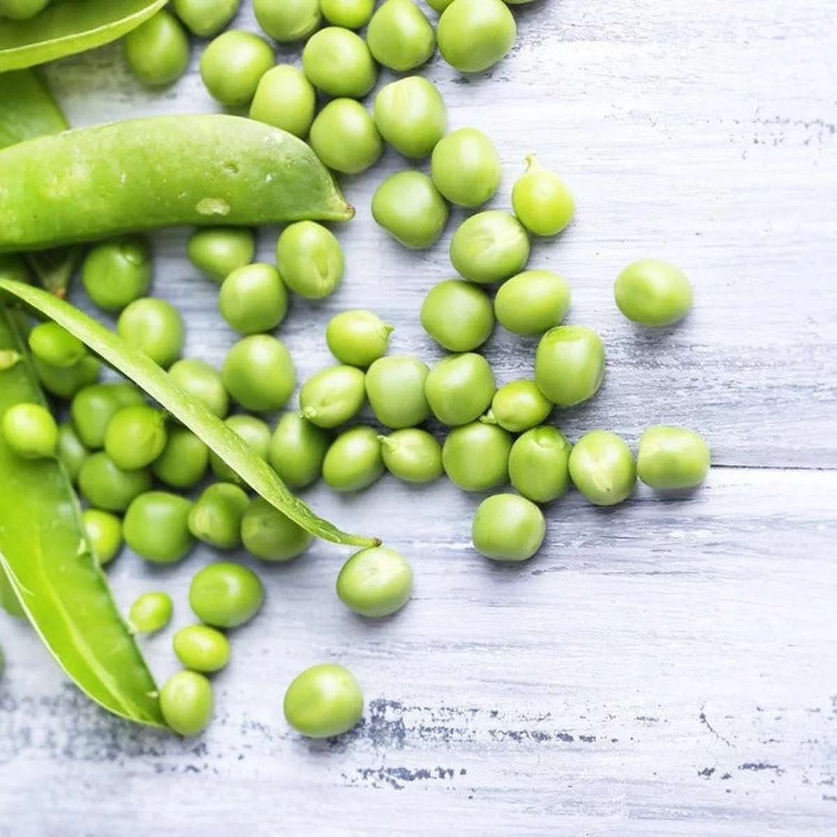 Pea (Snap) – Cascadia Sugar seeds