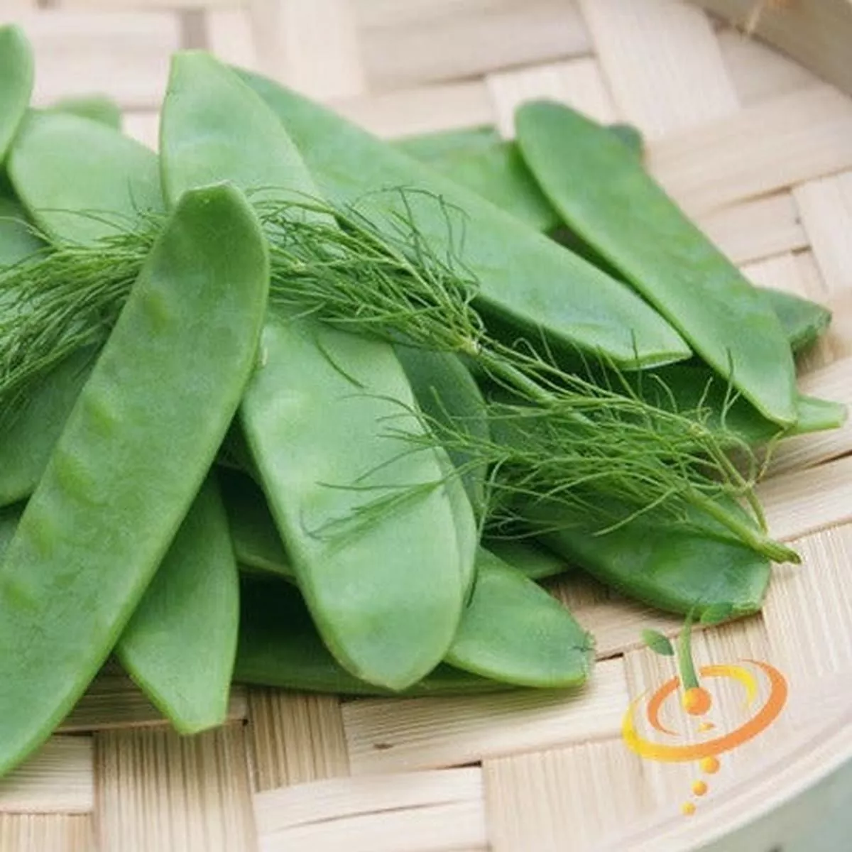 Pea (Snow) – Oregon Giant seeds