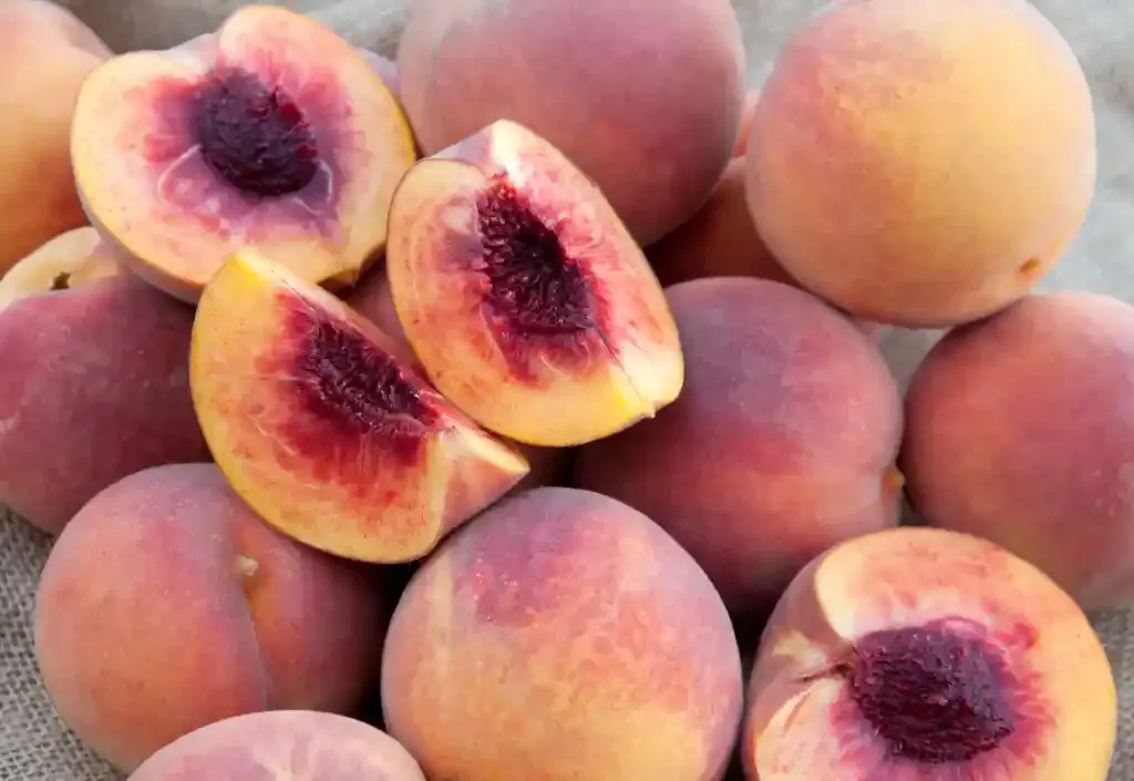 Peach (Octoberfest)