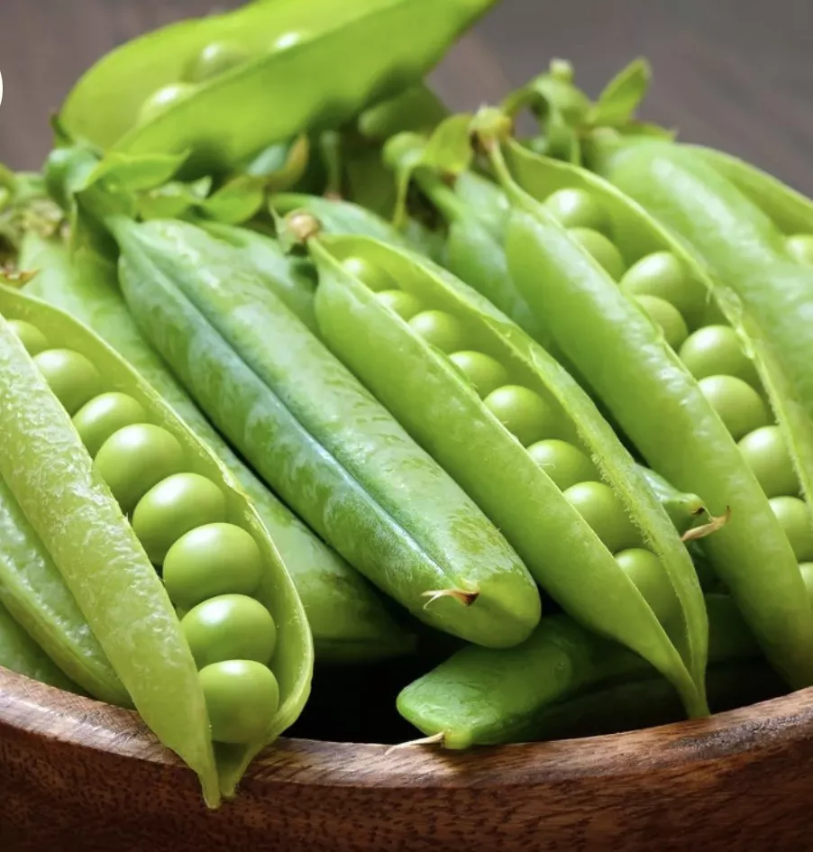 Penelope Pea Seeds