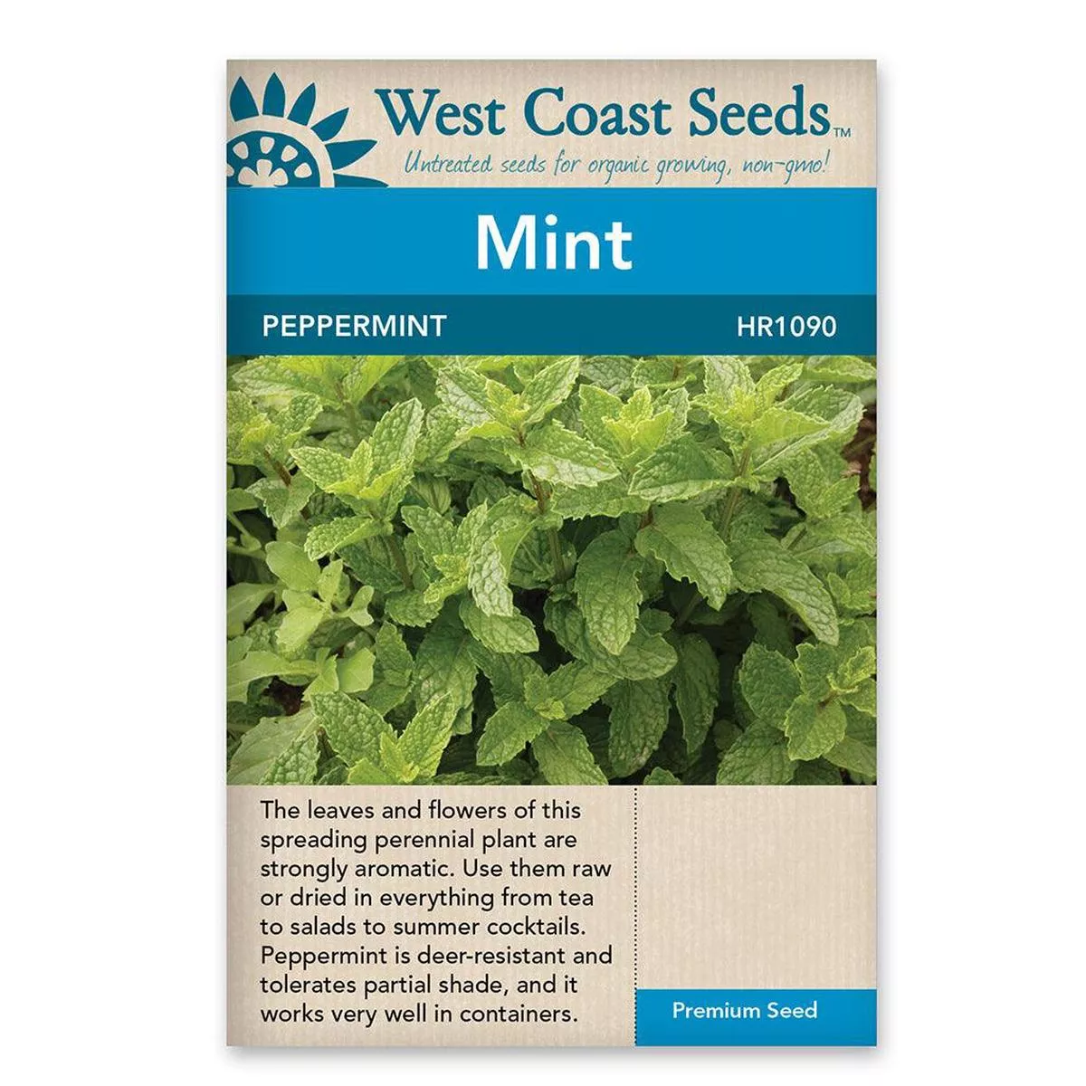 Peppermint Seeds