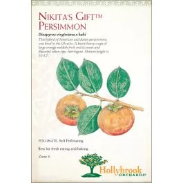 Persimmon Nikitas Gift