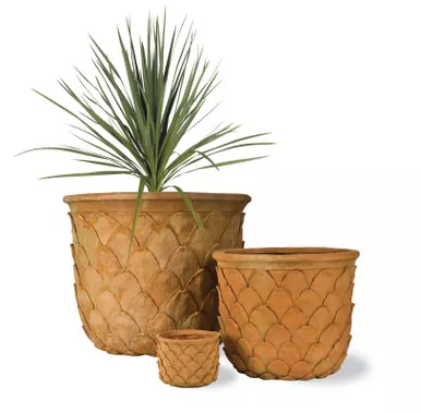 Pineapple Planter