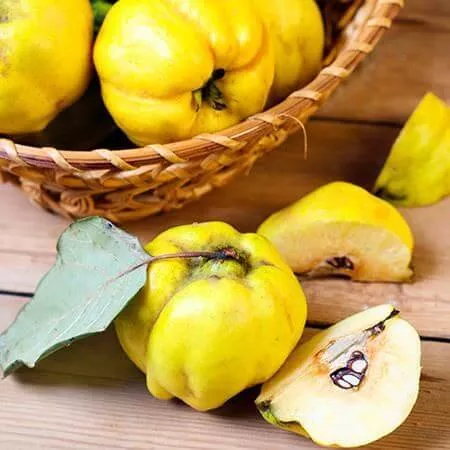 Pineapple, Quince