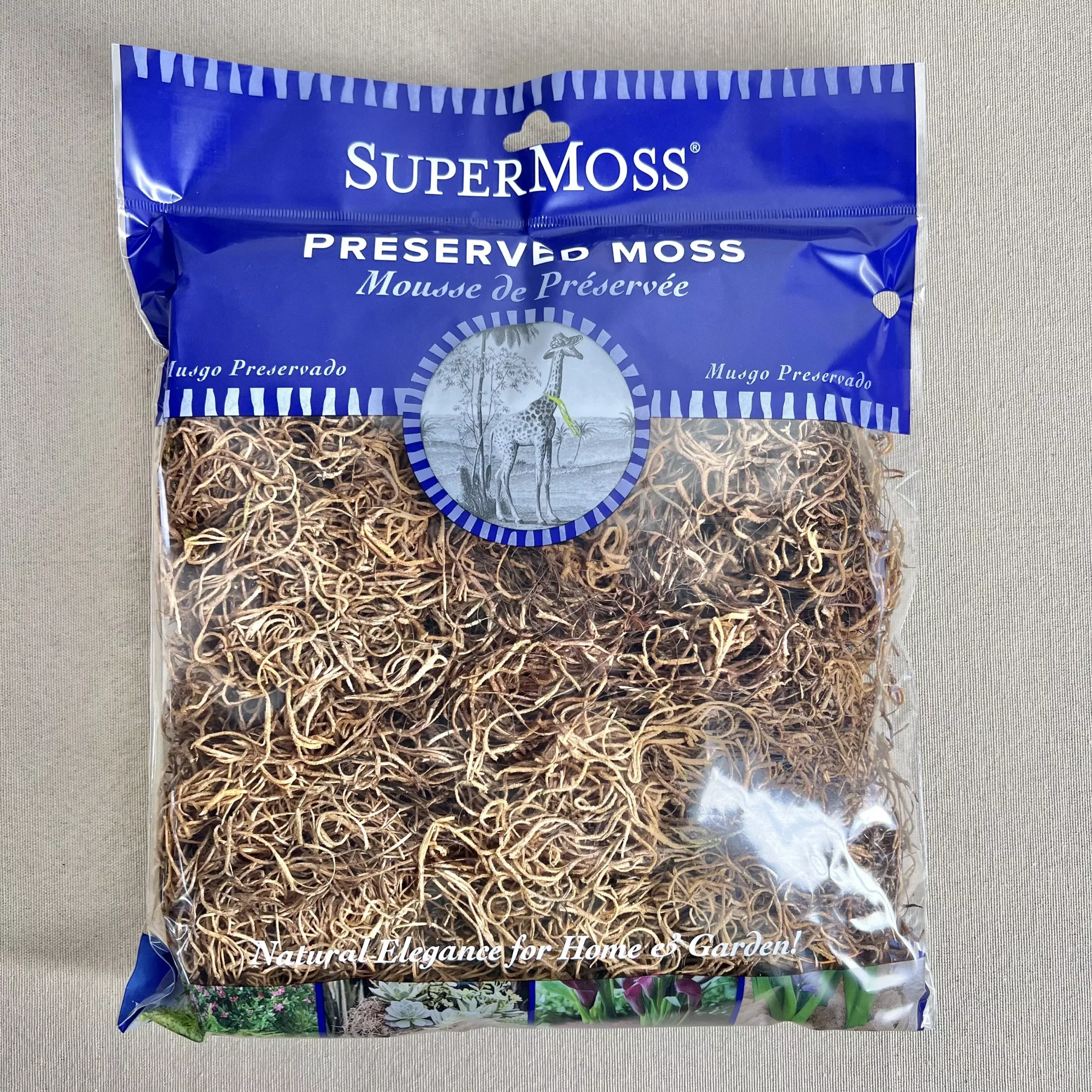 Preserved Spanish Moss - Coffee