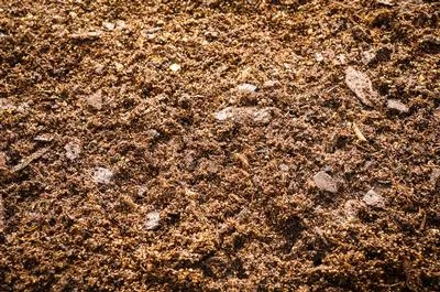 Professional Potting Mix