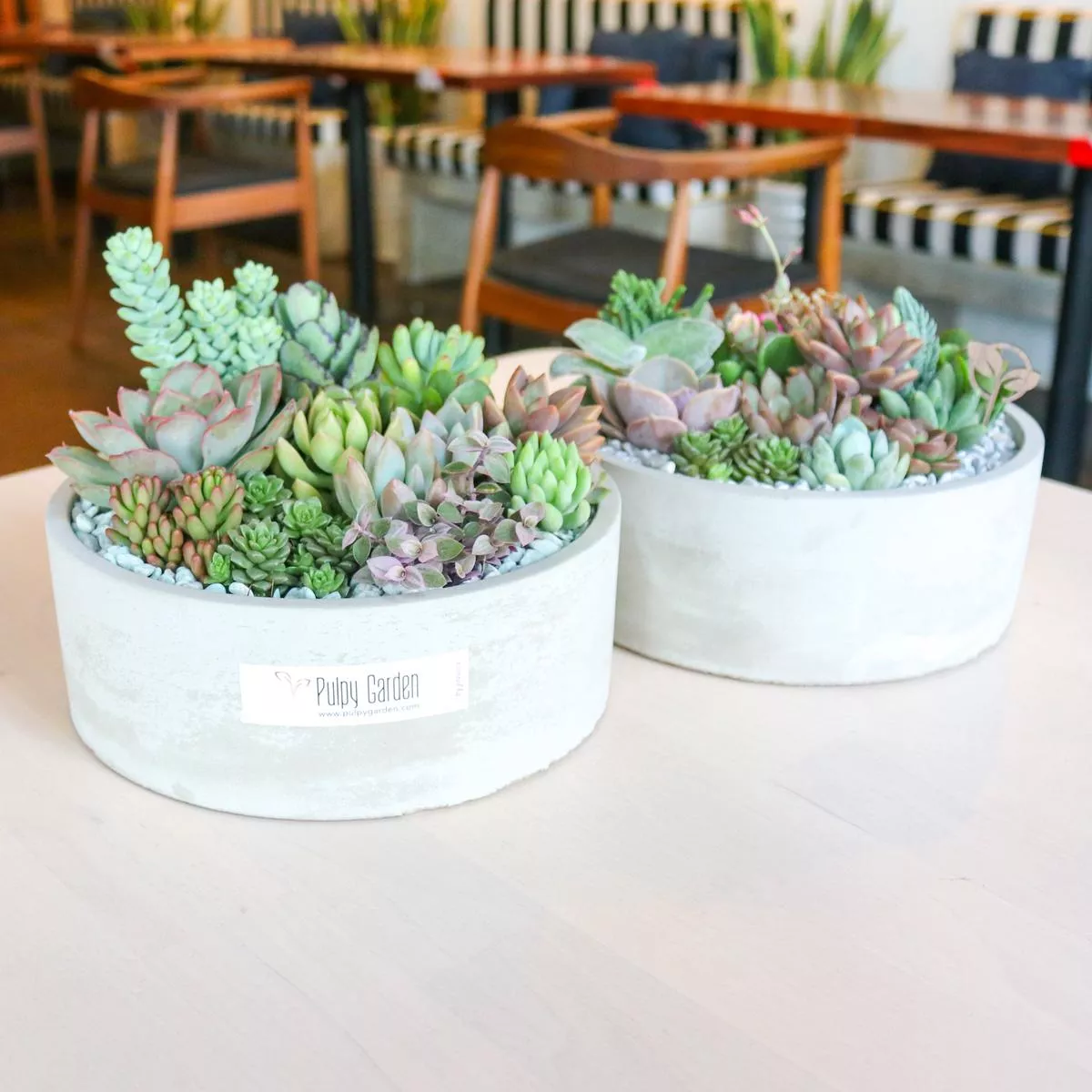 The Pulpy Love Planter