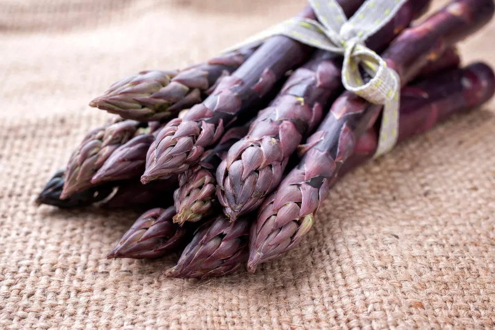 Purple Passion
