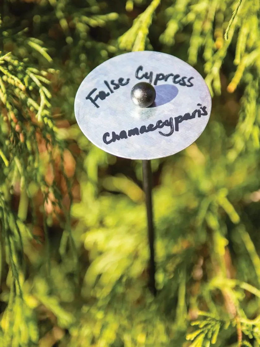 Re-Markable Plant Markers 32