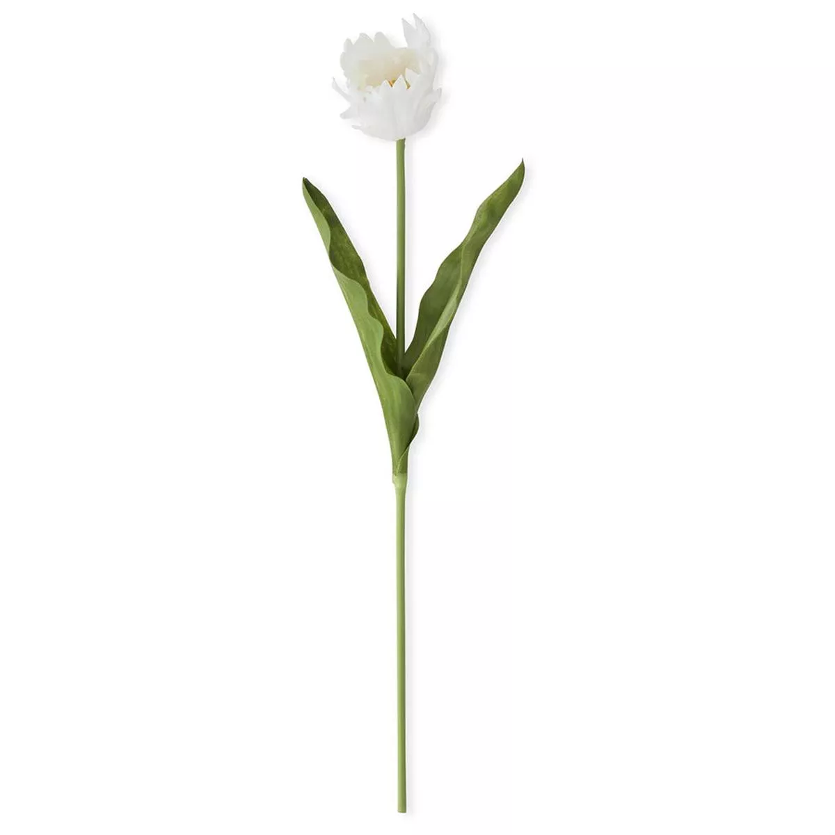Real Touch Parrot Tulip White Everlasting