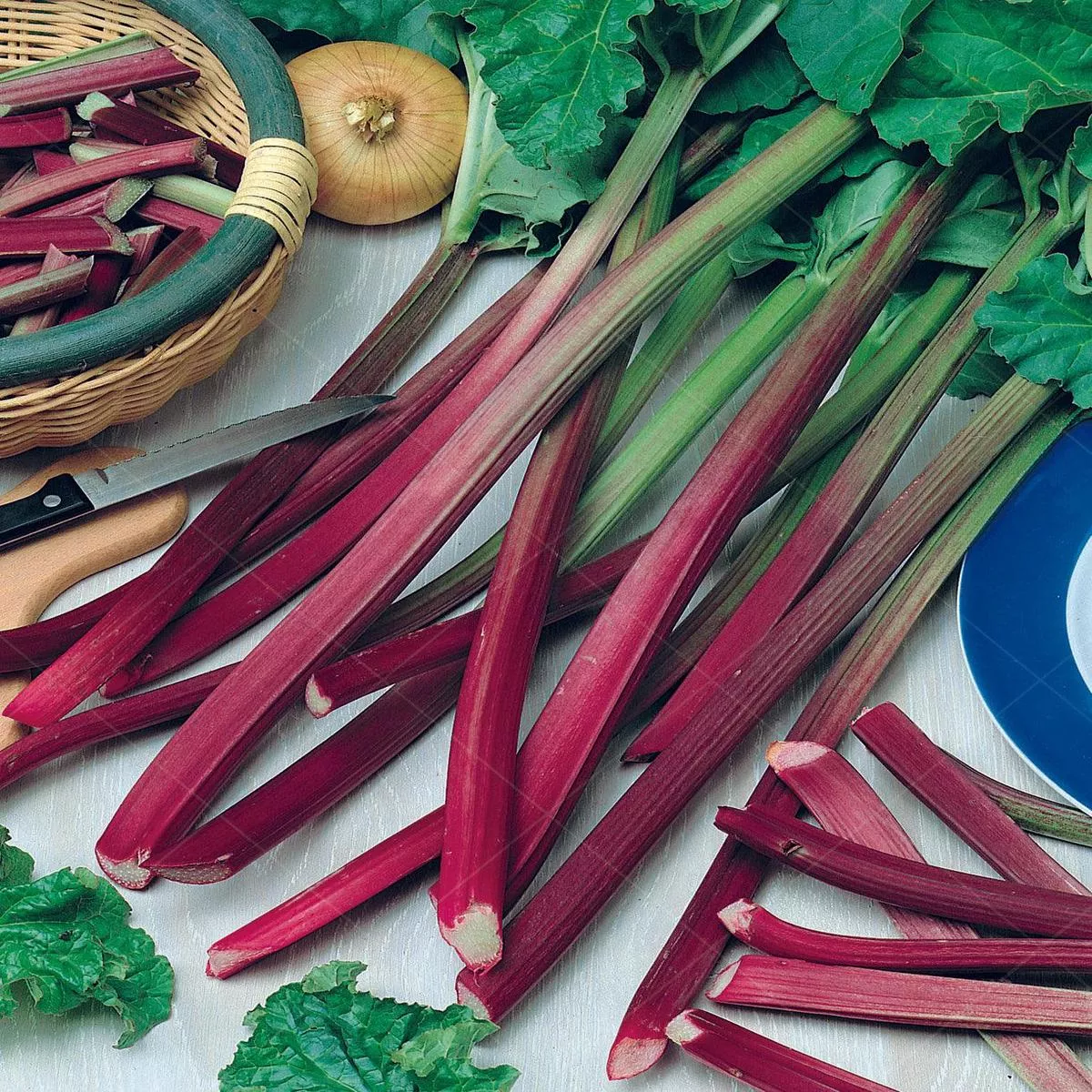 Rhubarb – Strawberry Red