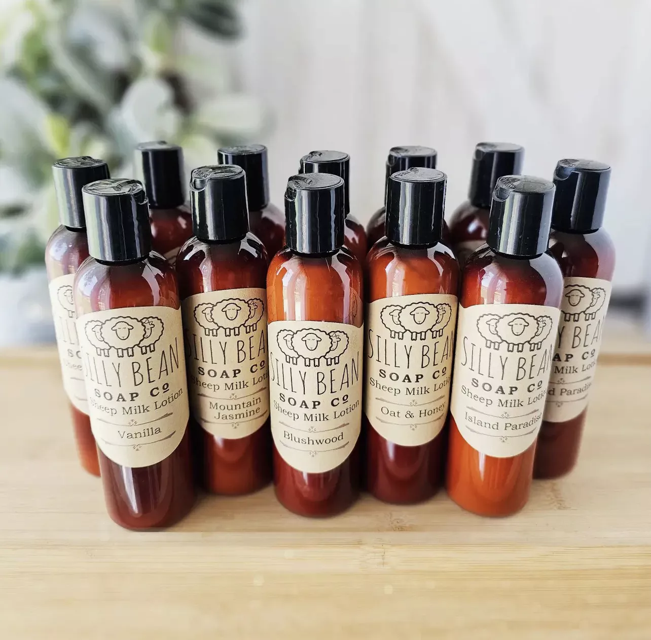 Sheep Milk Lotion