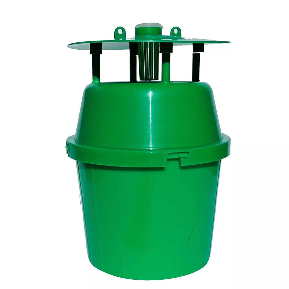 Sheridan Nurseries Box Tree Moth Trap