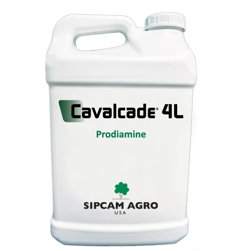 Sipcam Agro - Cavalcade 4L - 2.5 Gallon