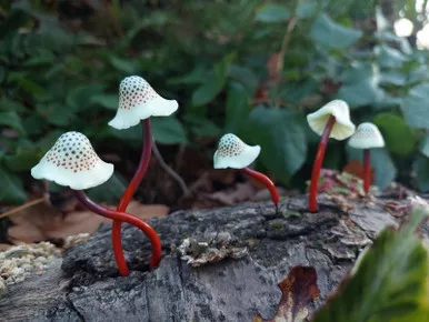 Spotted Polymer Mushrooms Set of 5 - Amber