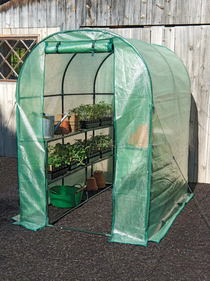 Springfield Greenhouse