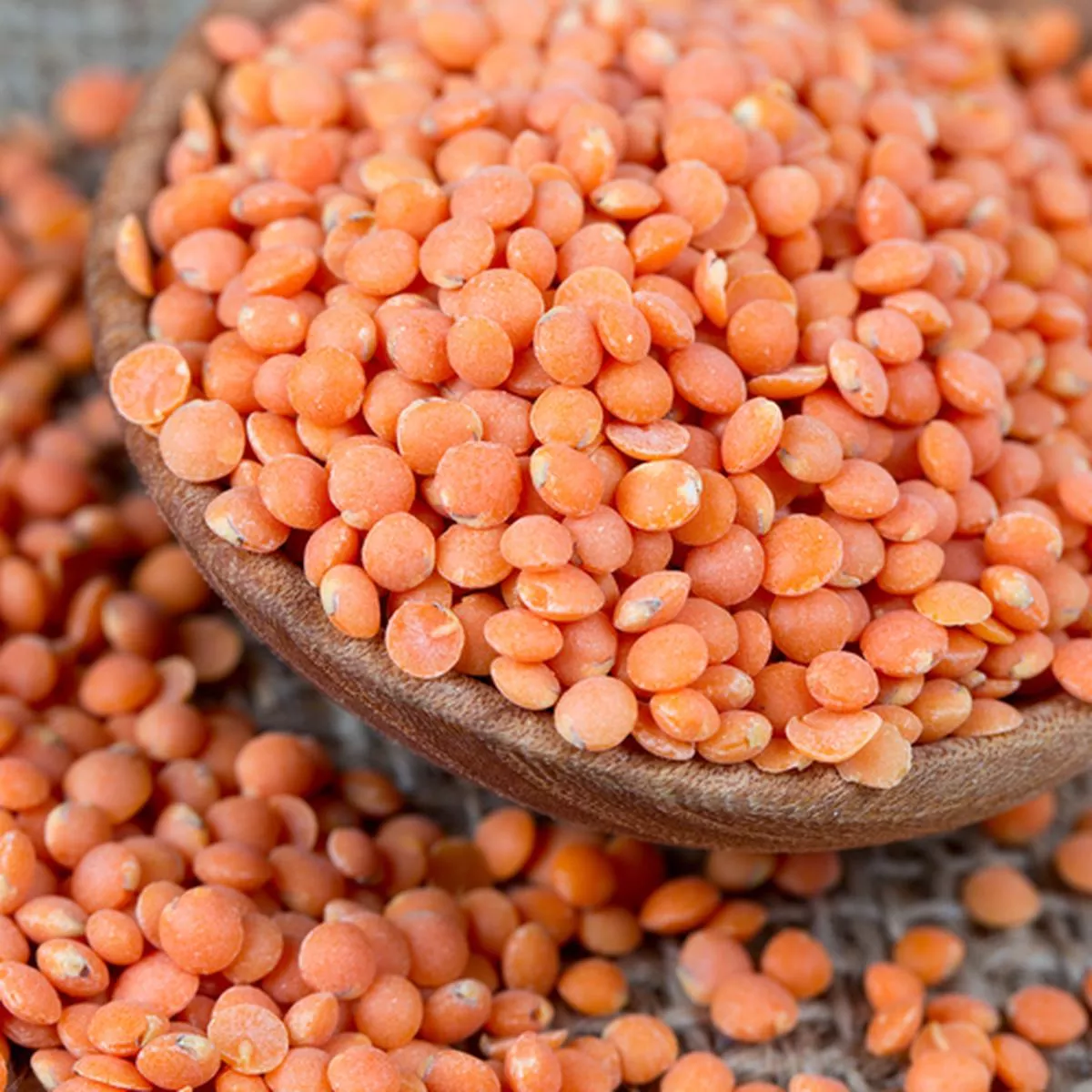 Sprouts/Microgreens – Lentils, Red seeds