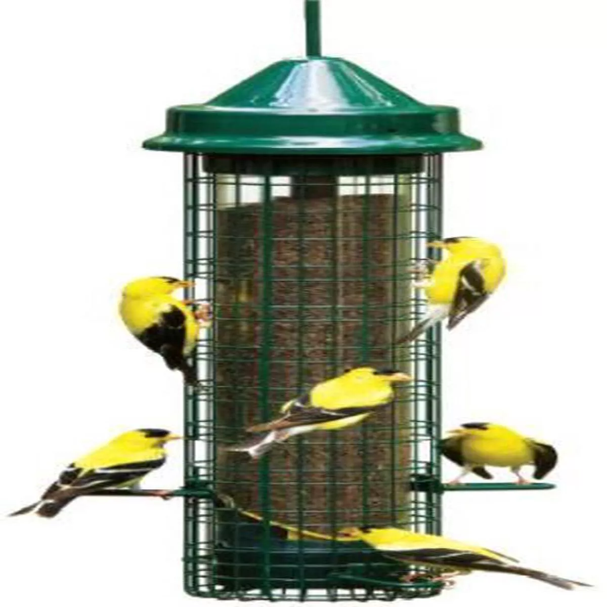 Squirrel Buster Finch Feeder