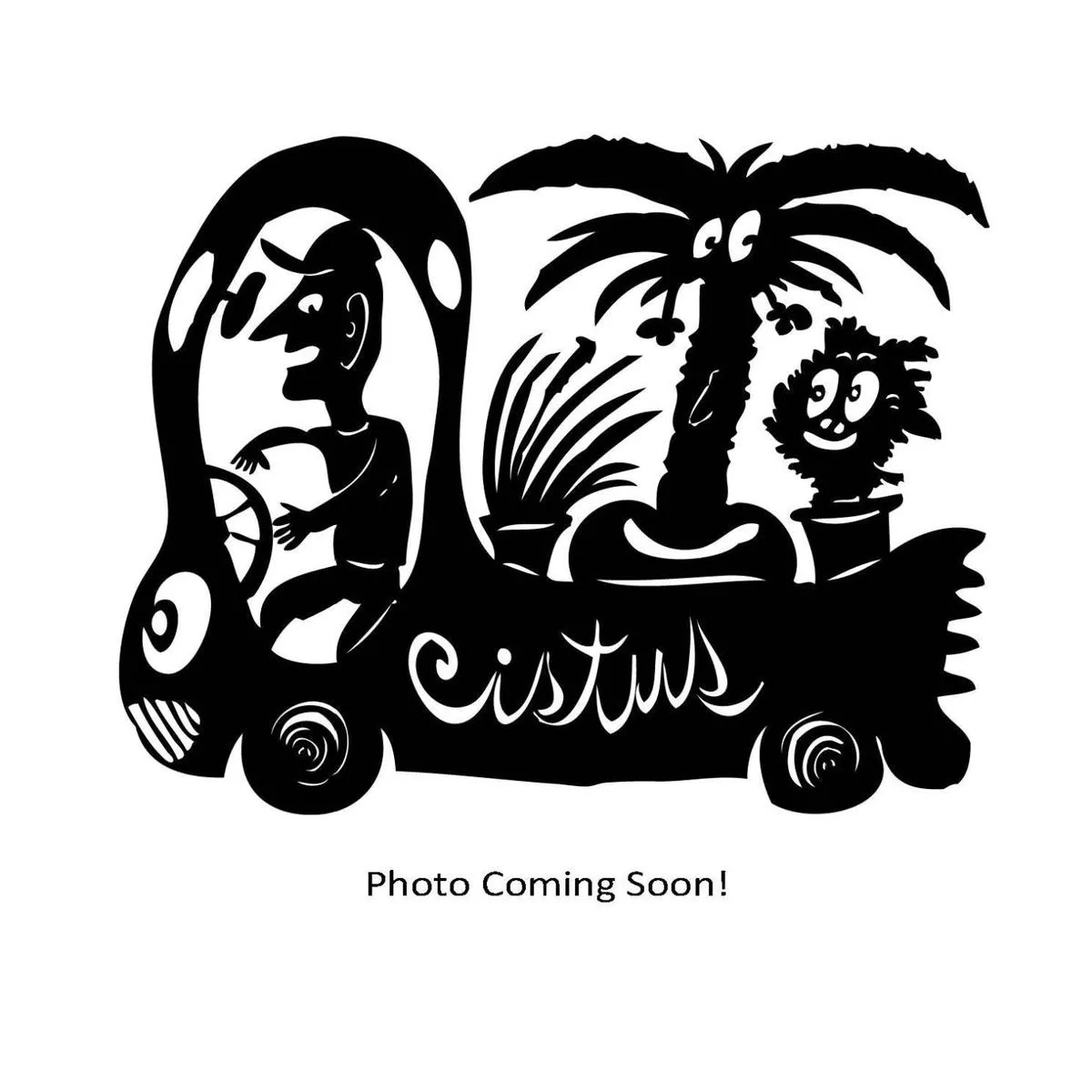 Sternbergia lutea