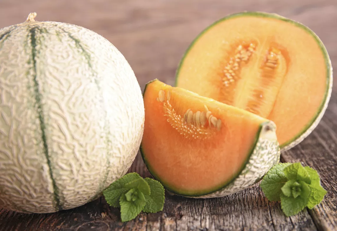 Sugar Cube Muskmelons