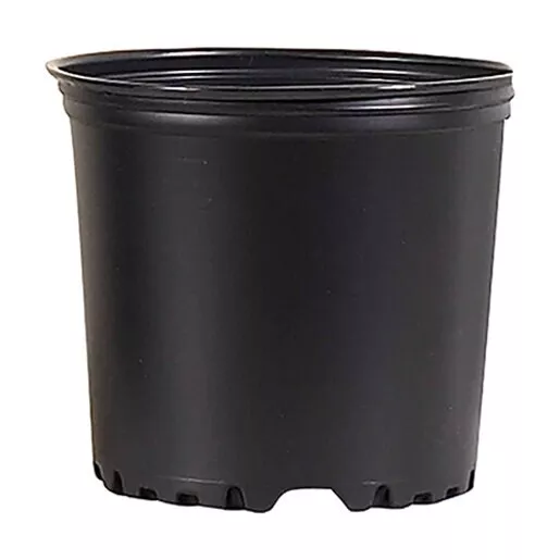 Thermoformed Containers 170/Sleeve 1 gal.