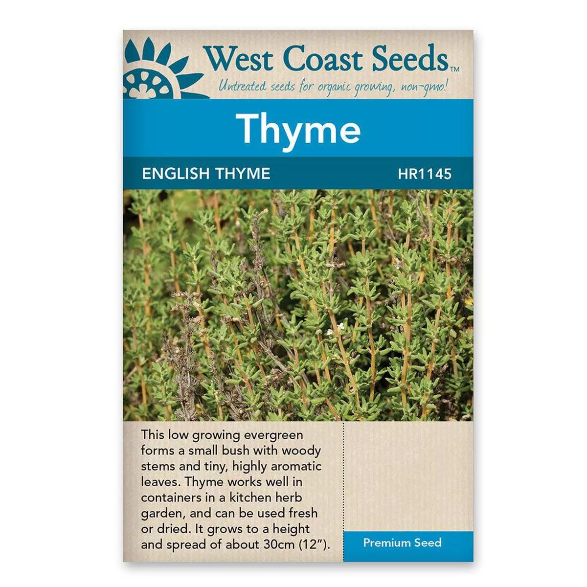 Thyme English Seed