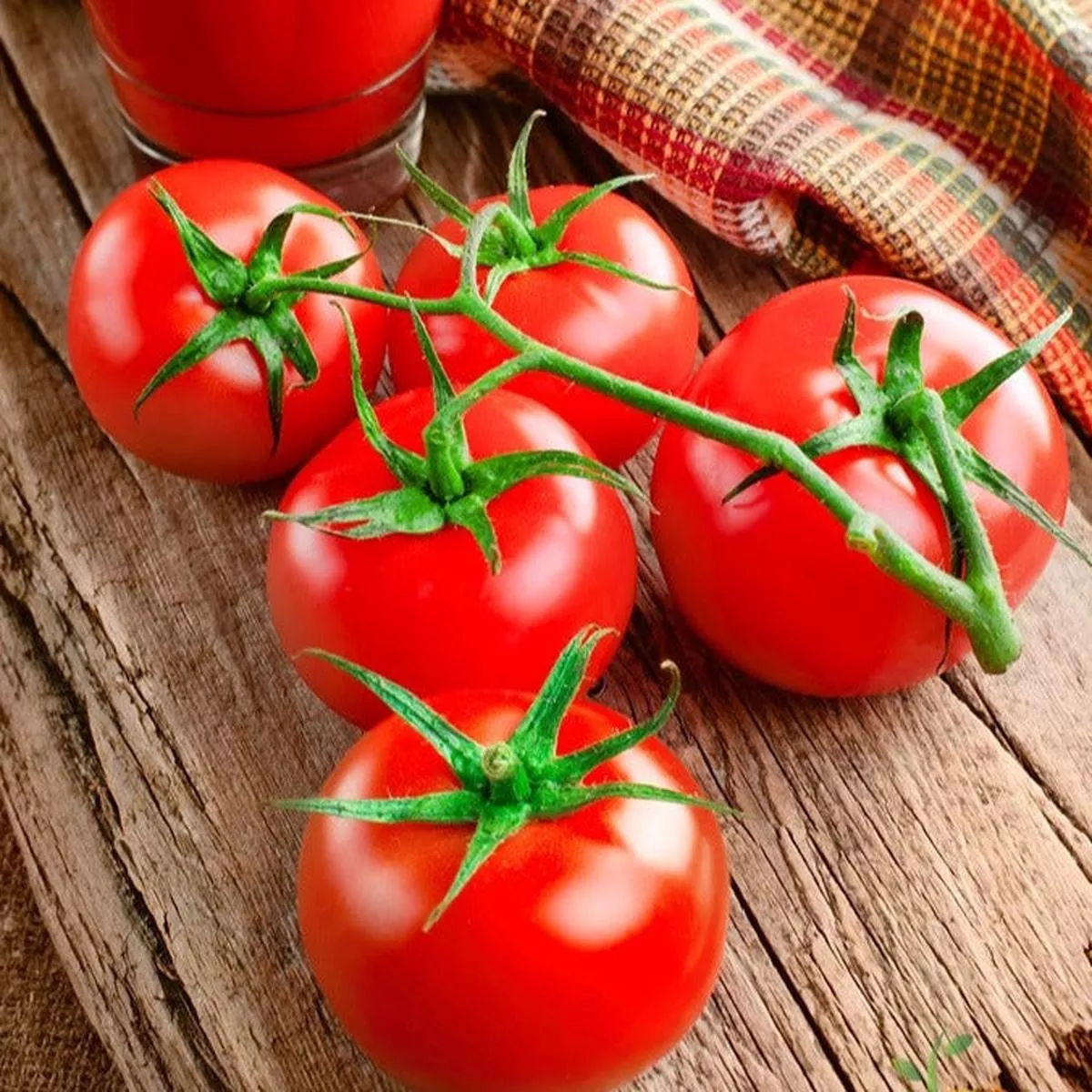 Tomato – Bonny Best (Indeterminate) seeds