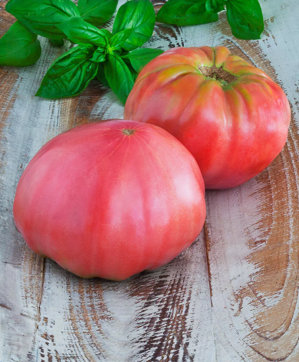 Tomato - Brandywine, Pink