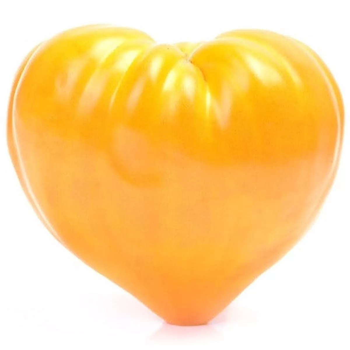 Tomato – Oxheart, Yellow (Indeterminate) seeds