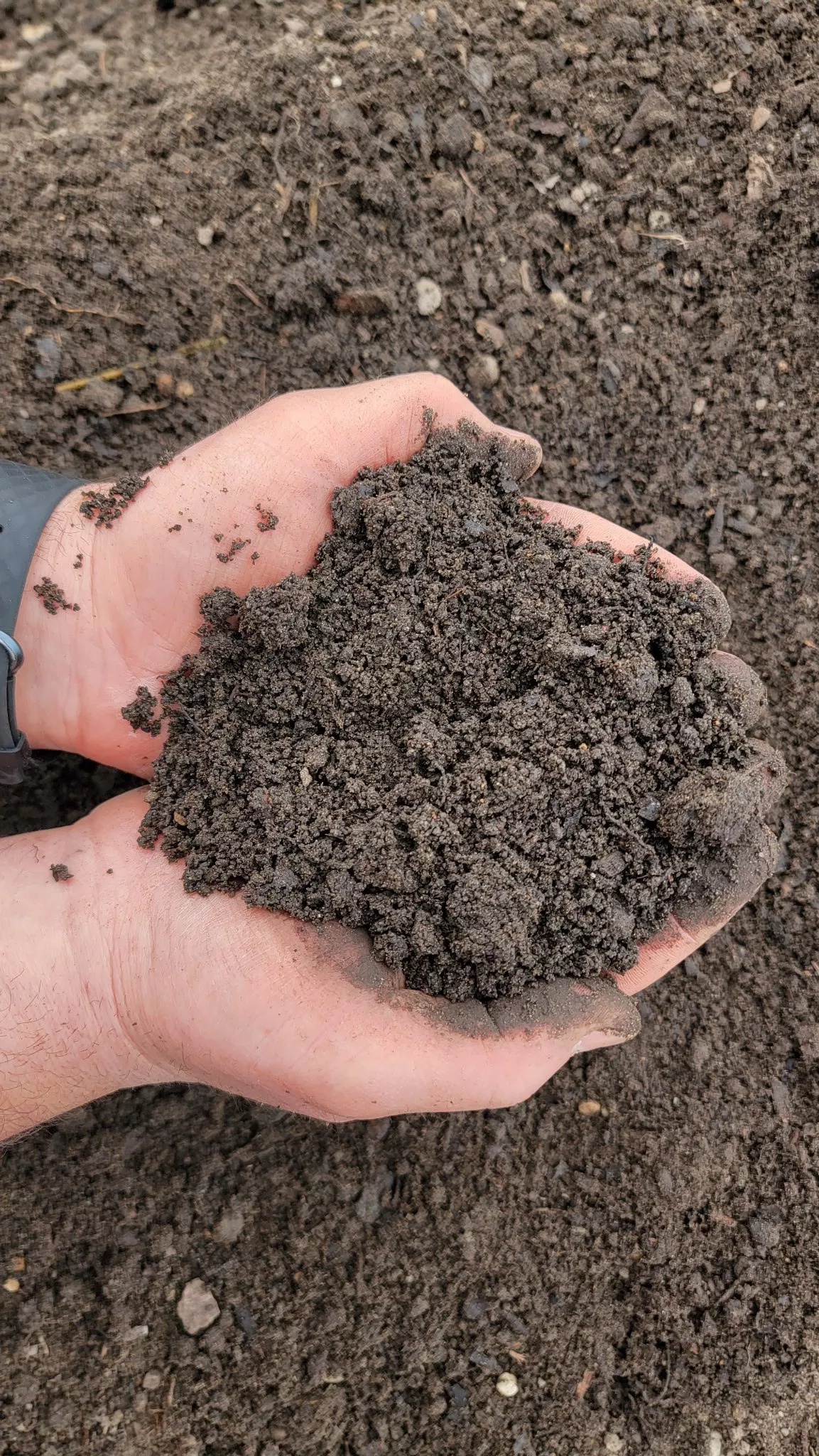 Topsoil Blend