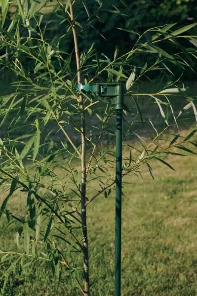 Tree Stake