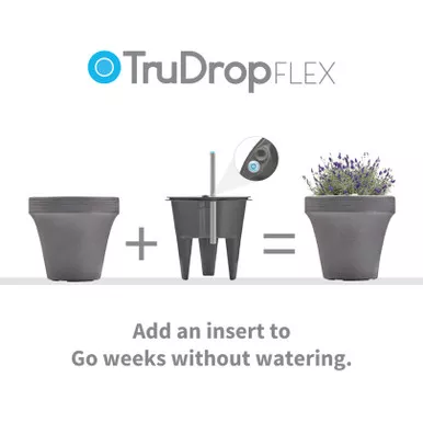 TruDrop Flex Insert & Gauge - 2 Pack