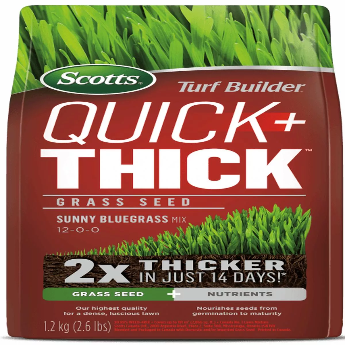 Turf Builder Quick & Thick Grass Seed Sunny Bluegrass 1.2kg