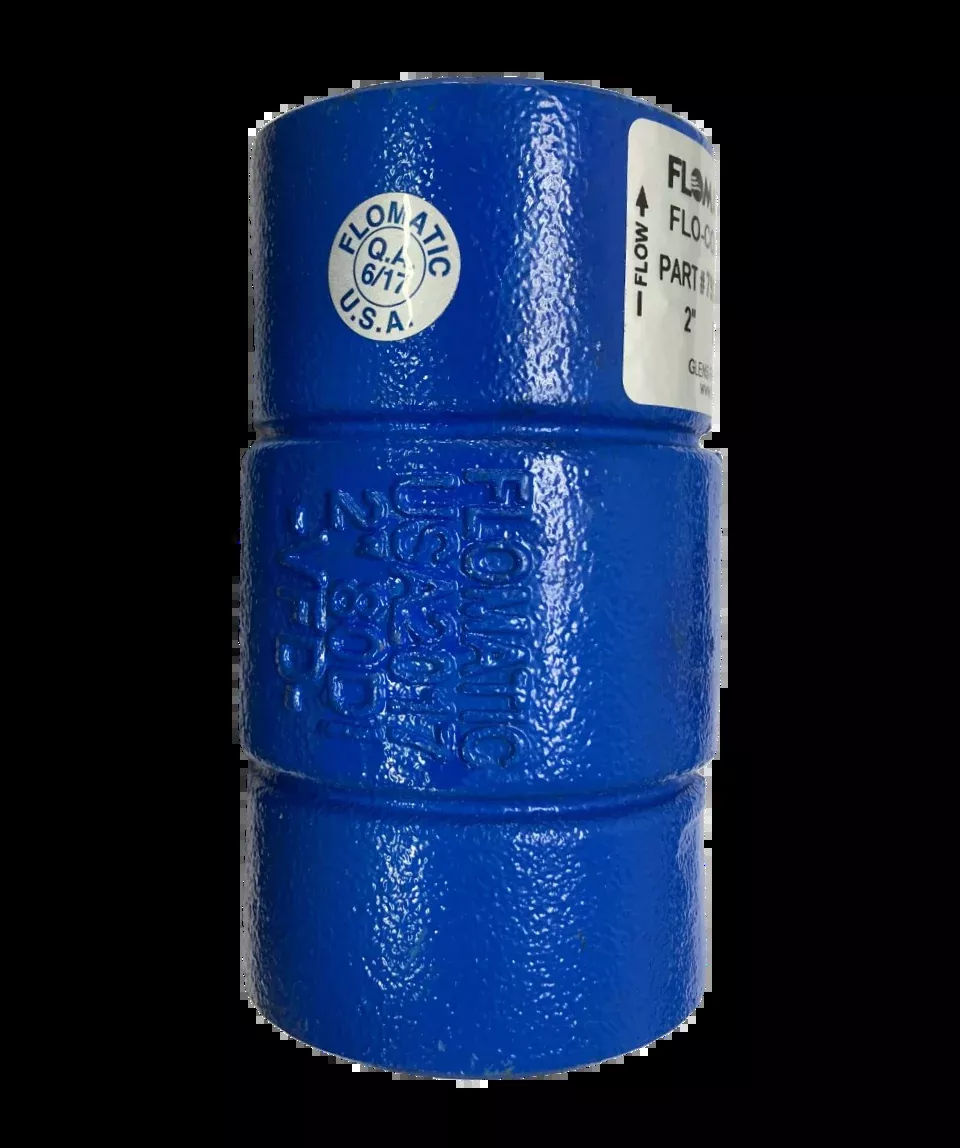 VALVE, DI CHECK VFD 2"